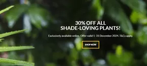 Stodels catalogue | 30% OFF ALL SHADE-LOVING PLANTS! | 2024-12-15T00:00:00+02:00 - 2024-12-31T23:59:00+02:00