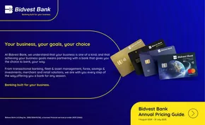 Bidvest Bank Pricing Guide