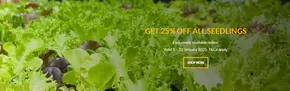 Stores GET 25% OFF ALL SEEDLINGS 